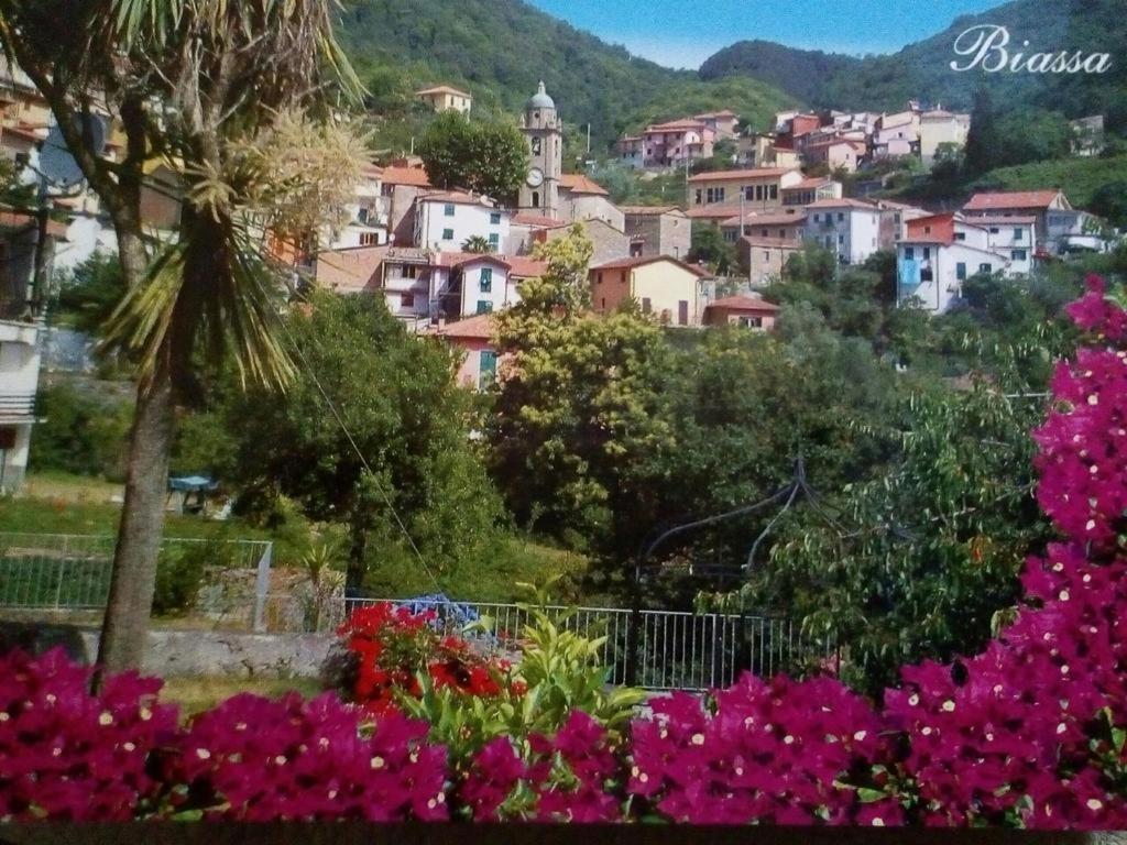 Casa Caterina Διαμέρισμα Λα Σπέτσια Εξωτερικό φωτογραφία